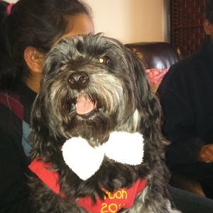 Meet your Posher, Kim